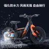 Only for export factory direct sales of 12-inch 16-inch children's electric balance bikes, scooters and bicycles details Picture
